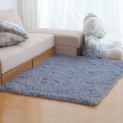 厂家批发丝毛地毯客厅卧室茶几满铺地毯地垫防滑吸水可定地毯